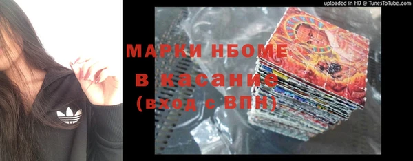 гашик Горняк
