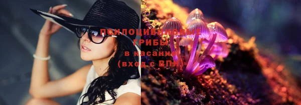 ALPHA PVP Горнозаводск