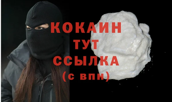 гашик Горняк