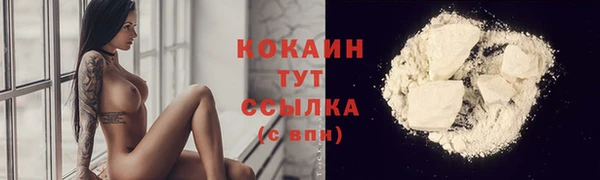 гашик Горняк