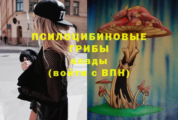 гашик Горняк