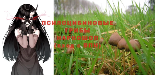 гашик Строитель