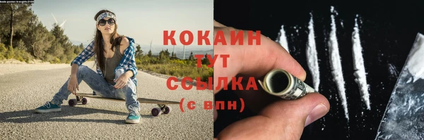 ALPHA PVP Горнозаводск