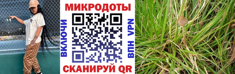 Галлюциногенные грибы MAGIC MUSHROOMS Ершов