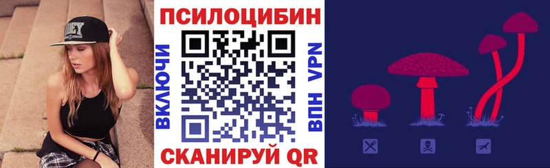 Галлюциногенные грибы MAGIC MUSHROOMS  Ершов 